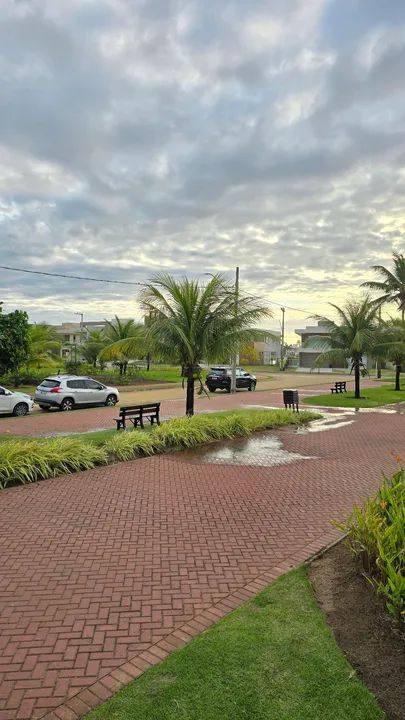 Damha fundo Praia  - Foto 3