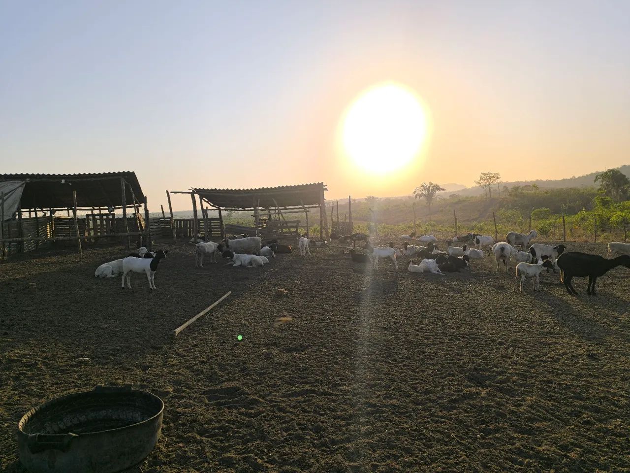 Fazenda em Parnarama-ma, - Foto 5