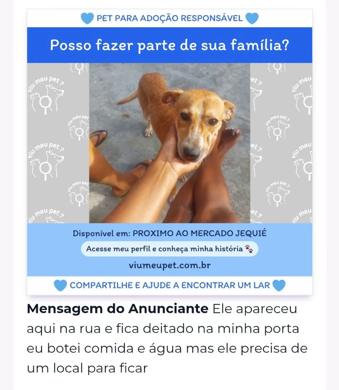 Cachorro para Adoção Responsável