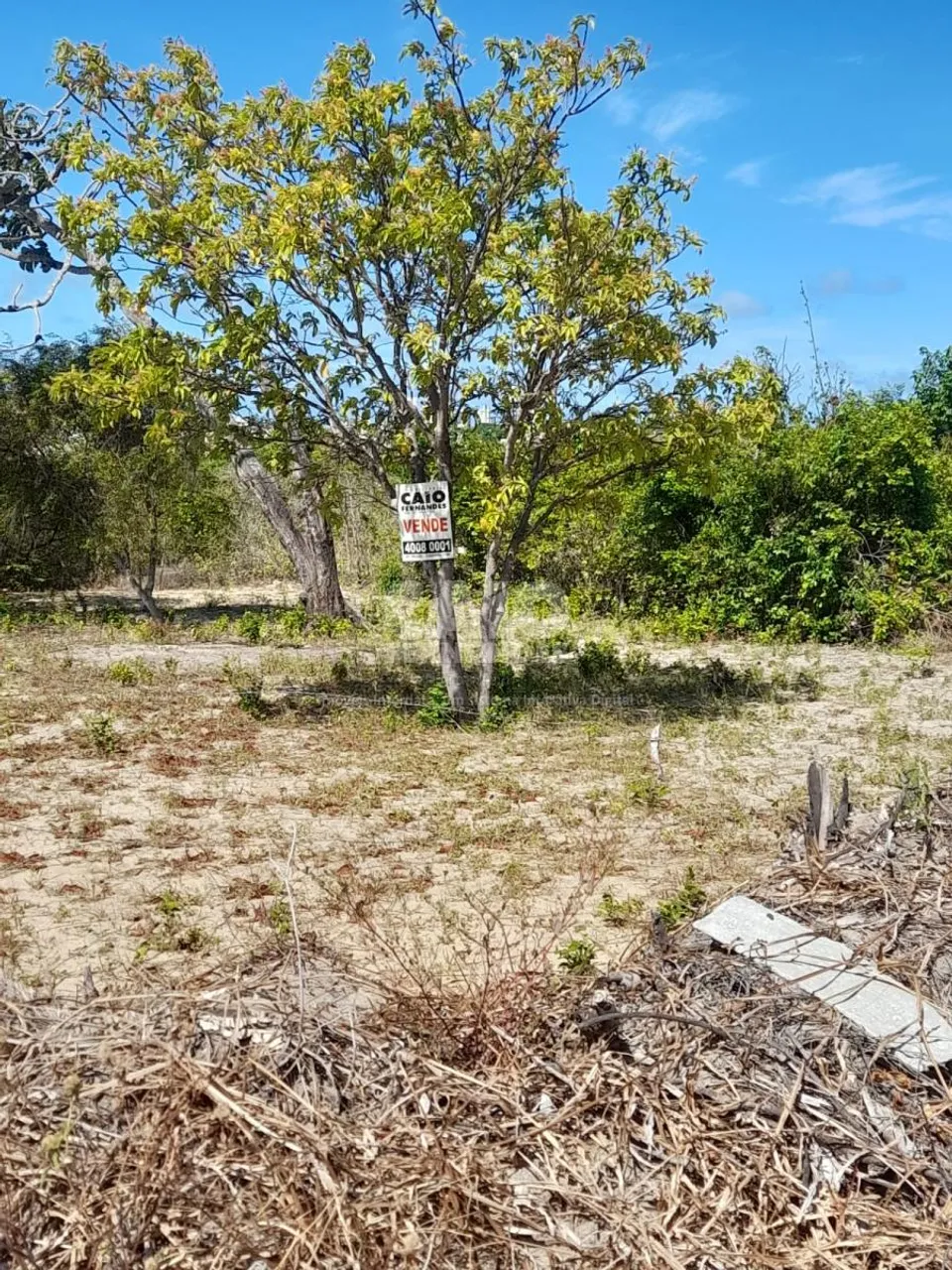 Terreno em Parnamirim