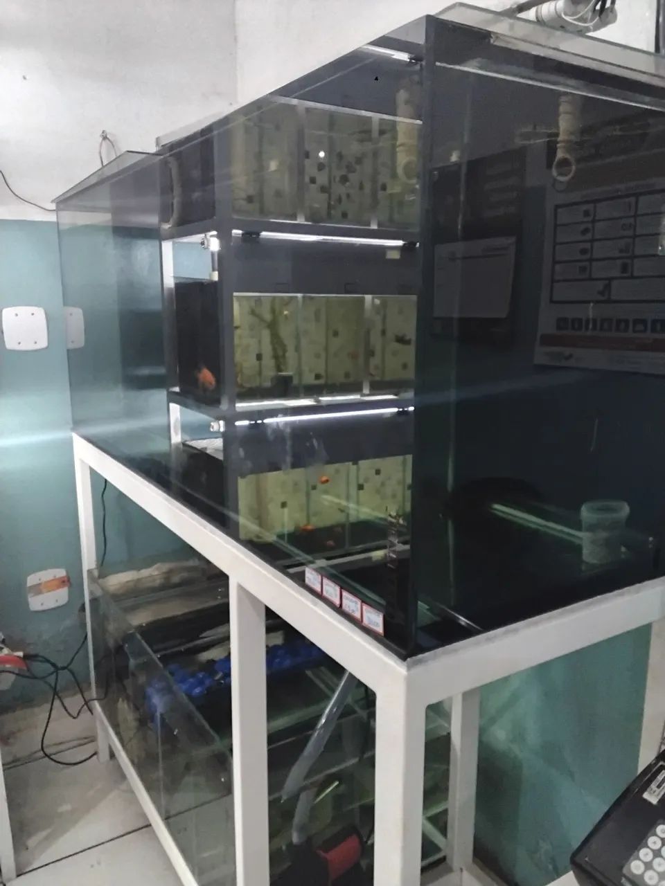 Large aquarium64166872539650121