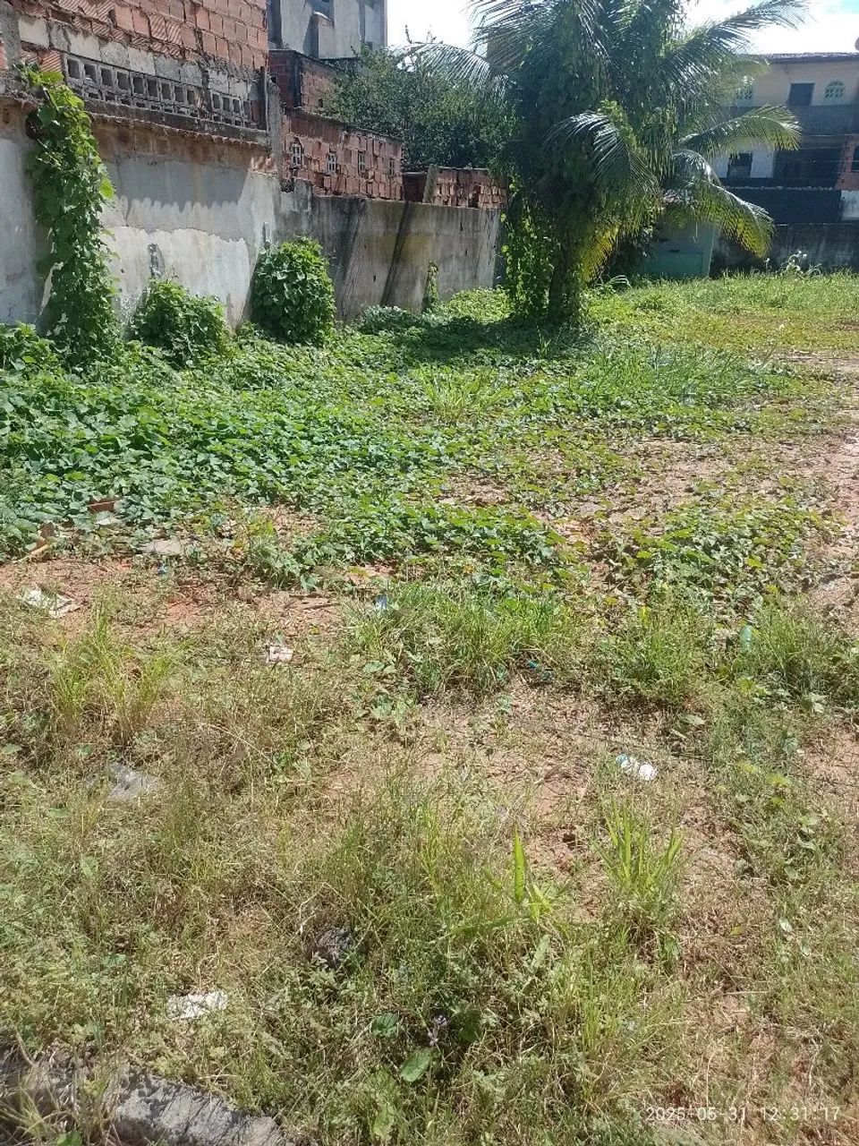 Terrenos em Vila de Abrantes  - Foto 2