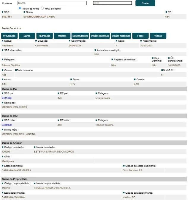 égua crioula - Foto 4