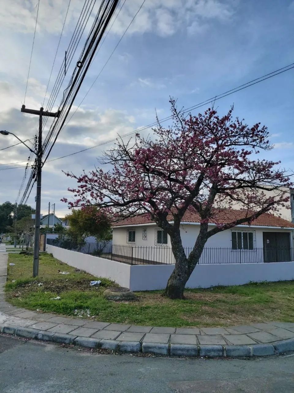 Foto - Curitiba - Boqueirão