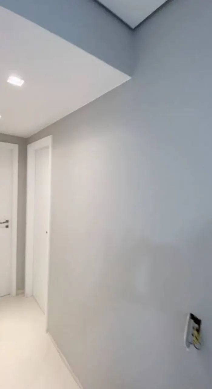 Pintor profissional 