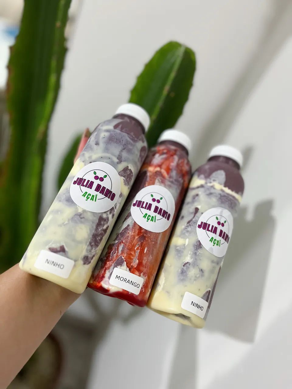 RENDA EXTRA VENDENDO AÇAÍ NA GARRAFA