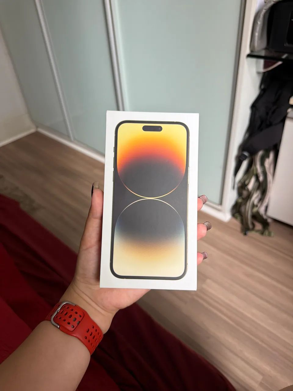 CAIXA iPhone 14 Pro Max 