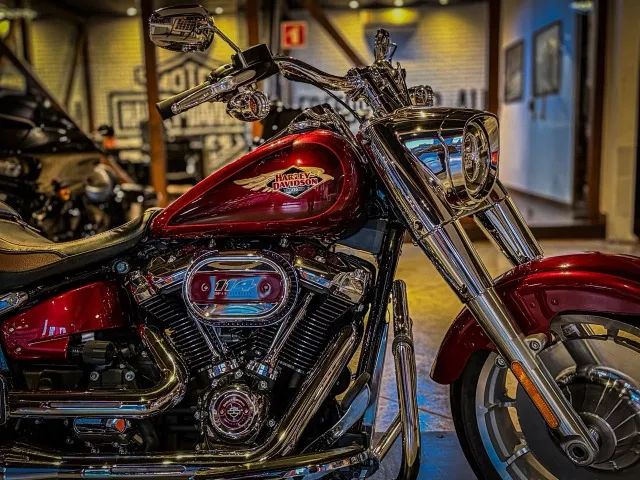 Harley-Davidson Fat Boy 120th - Foto 4