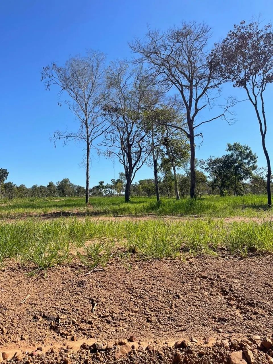 Chácara em condomínio - Quinta do Lago  - Foto 4