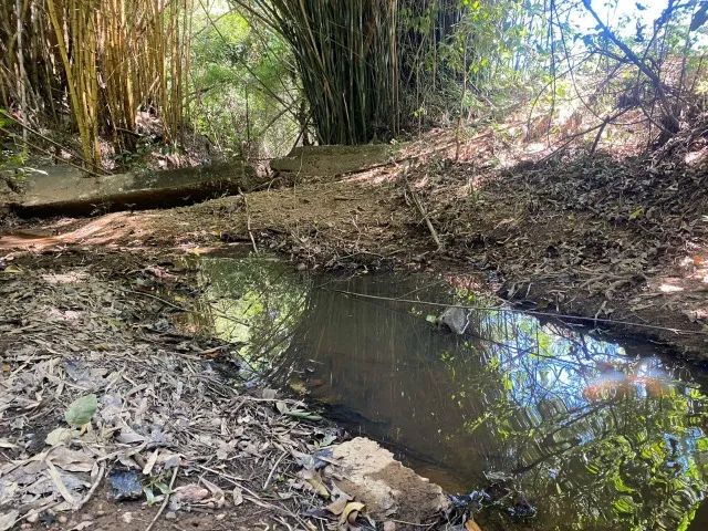 Chácara 1.350m² com um cômodo e córregos nos fundos Jaboticatubas. - Foto 2