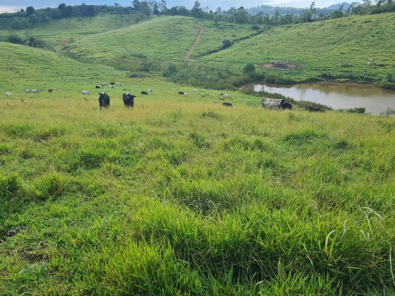 Fazenda a venda em Jacutinga -MG
