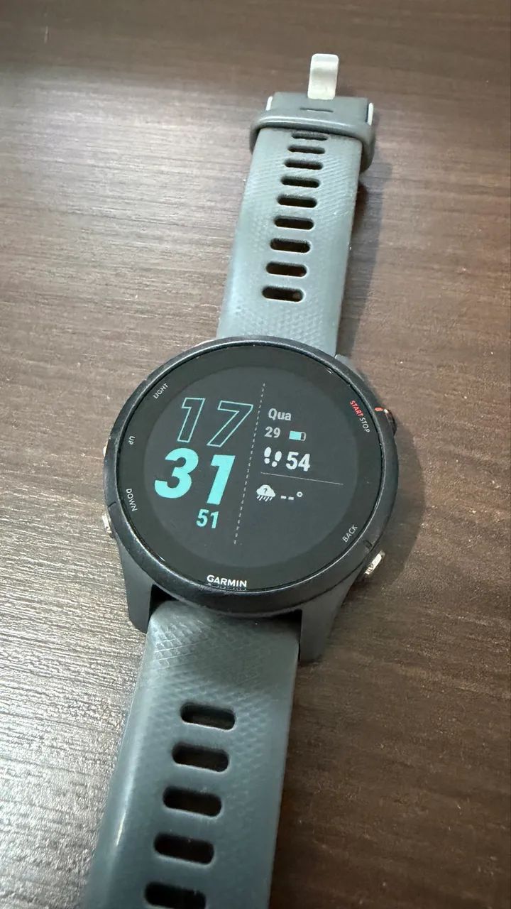 Garmin Forerunner 255