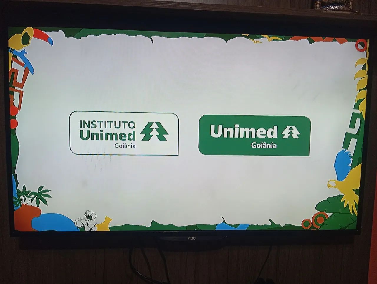 Televisão 43"