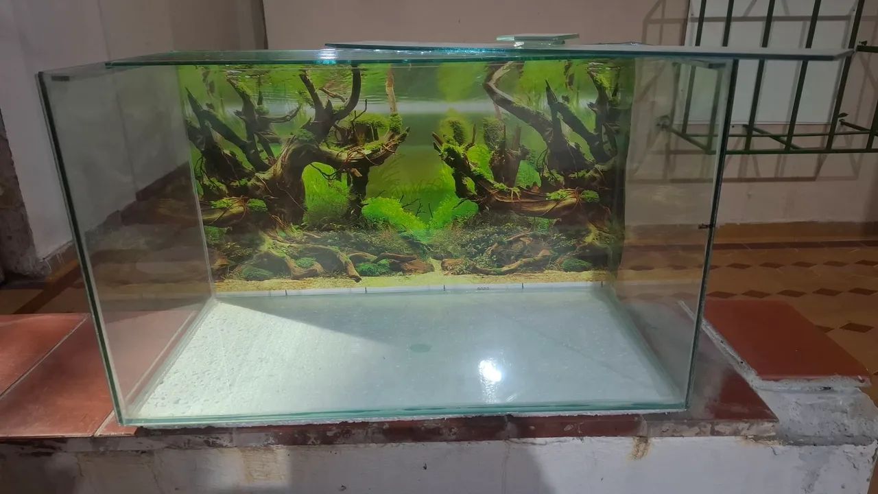 Aquário  - Foto 2
