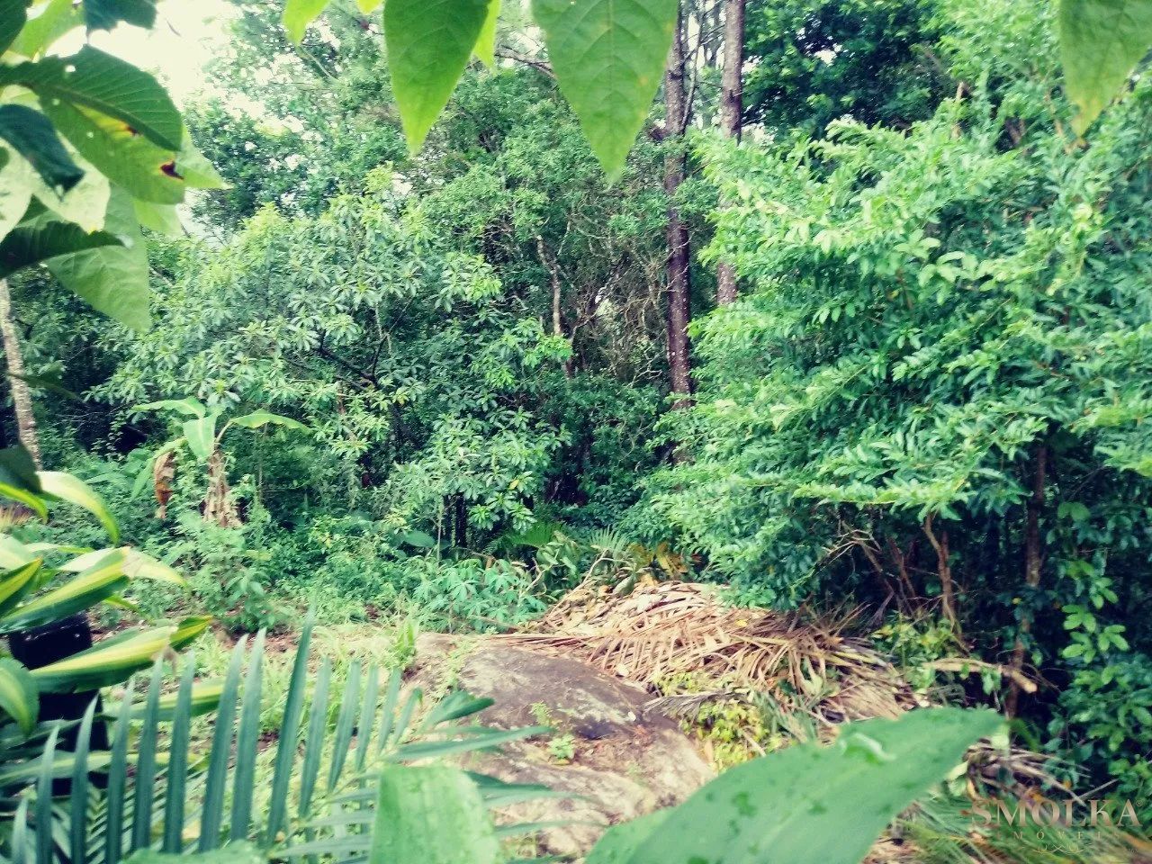Terreno a venda na Vargem Pequena - Foto 4