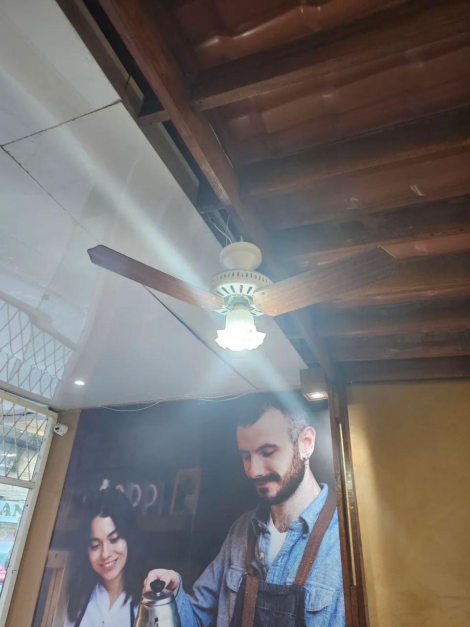 Ventilador de Teto