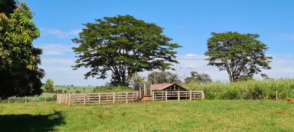 Rural Sítio - Foto 2
