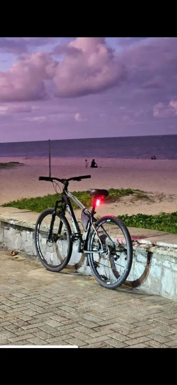 Bicicleta Aro 29 Ever (shimano)