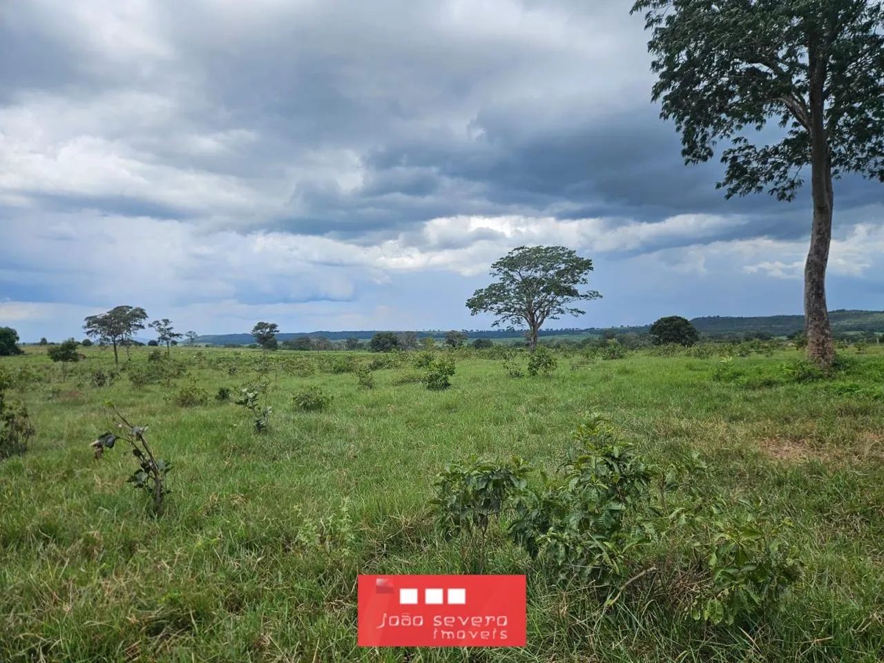 Fazenda para Venda em Torixoréu - Foto 4