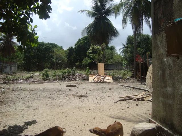 TERRENO para alugar na cidade de FORTALEZA-CE - Foto 4