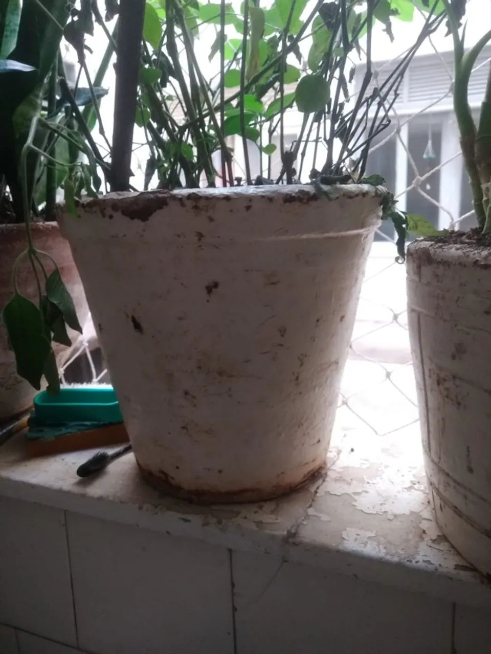 Vasos de Planta - Foto 4