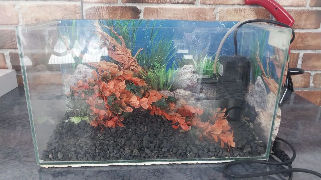 Aquario completo