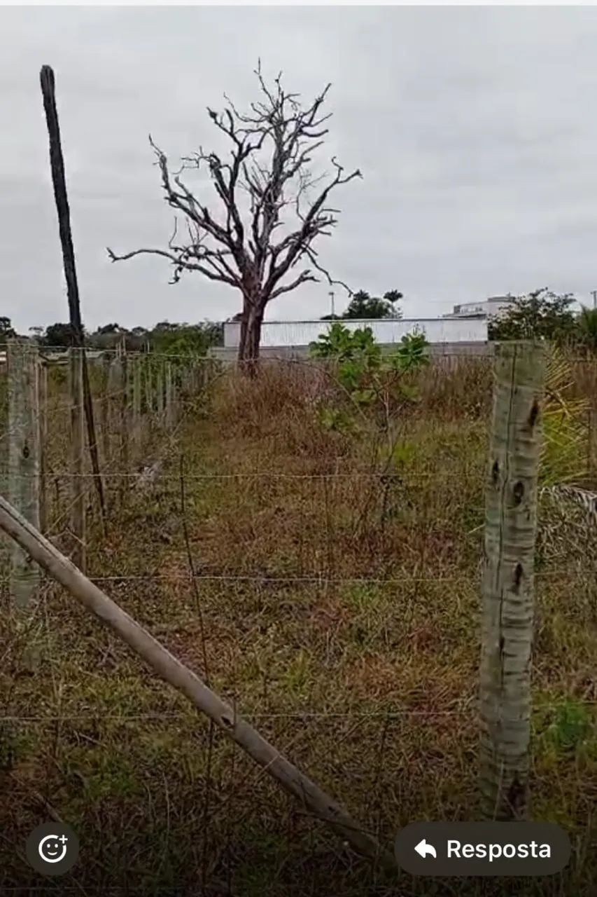 Vende se chácara no gravata