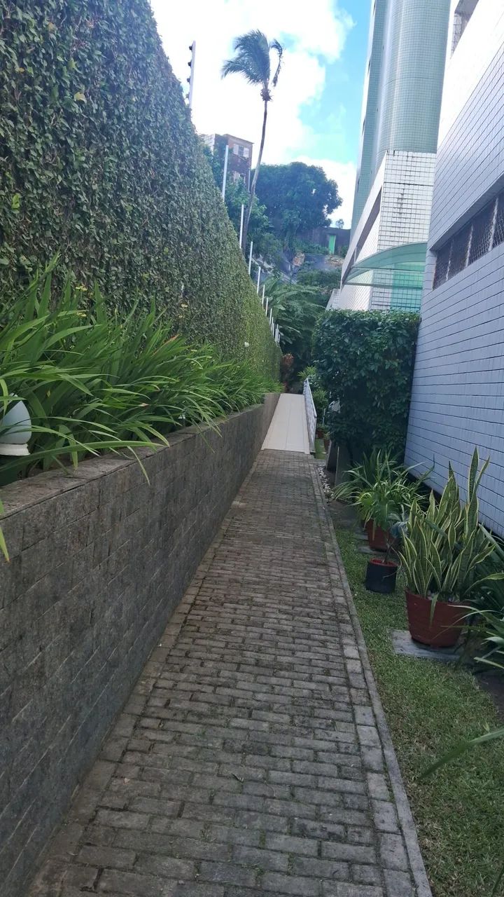 Jardinagem e projetos e palda de árvore com motosserra  - Foto 2