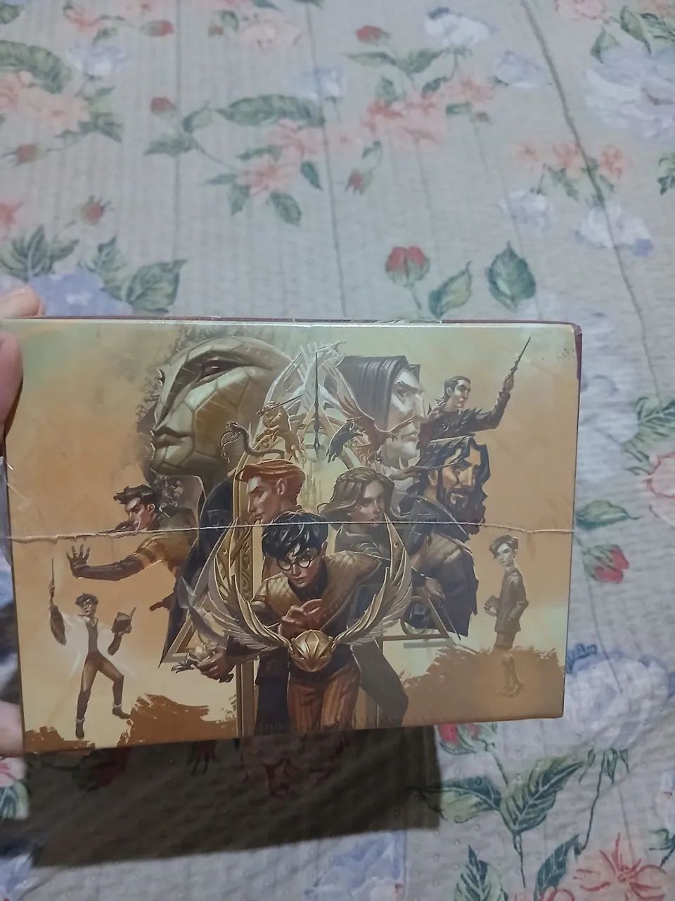 Box Livros Harry Potter - Foto 5