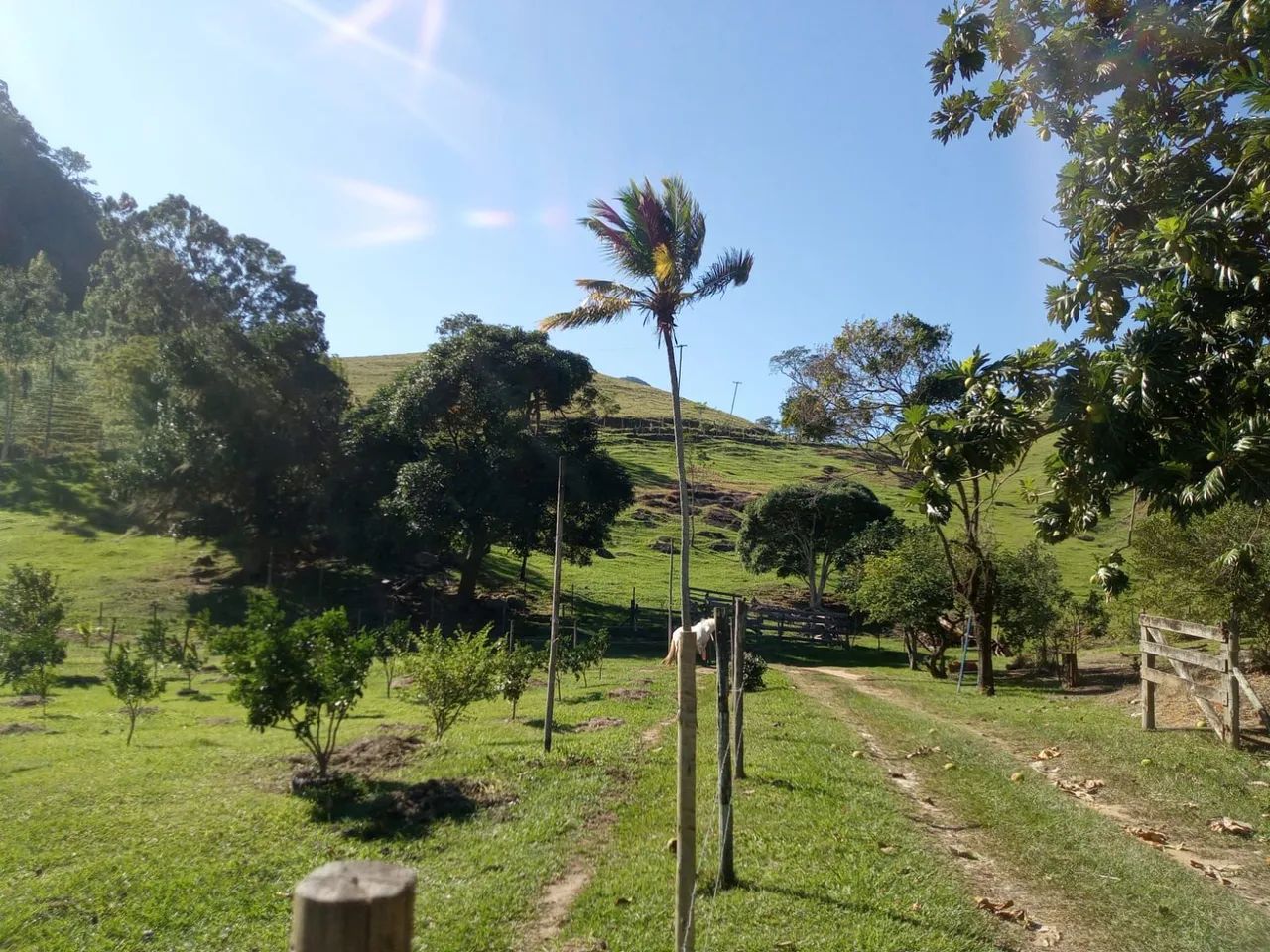 VENDO SÍTIO em Rocha leão - Foto 3