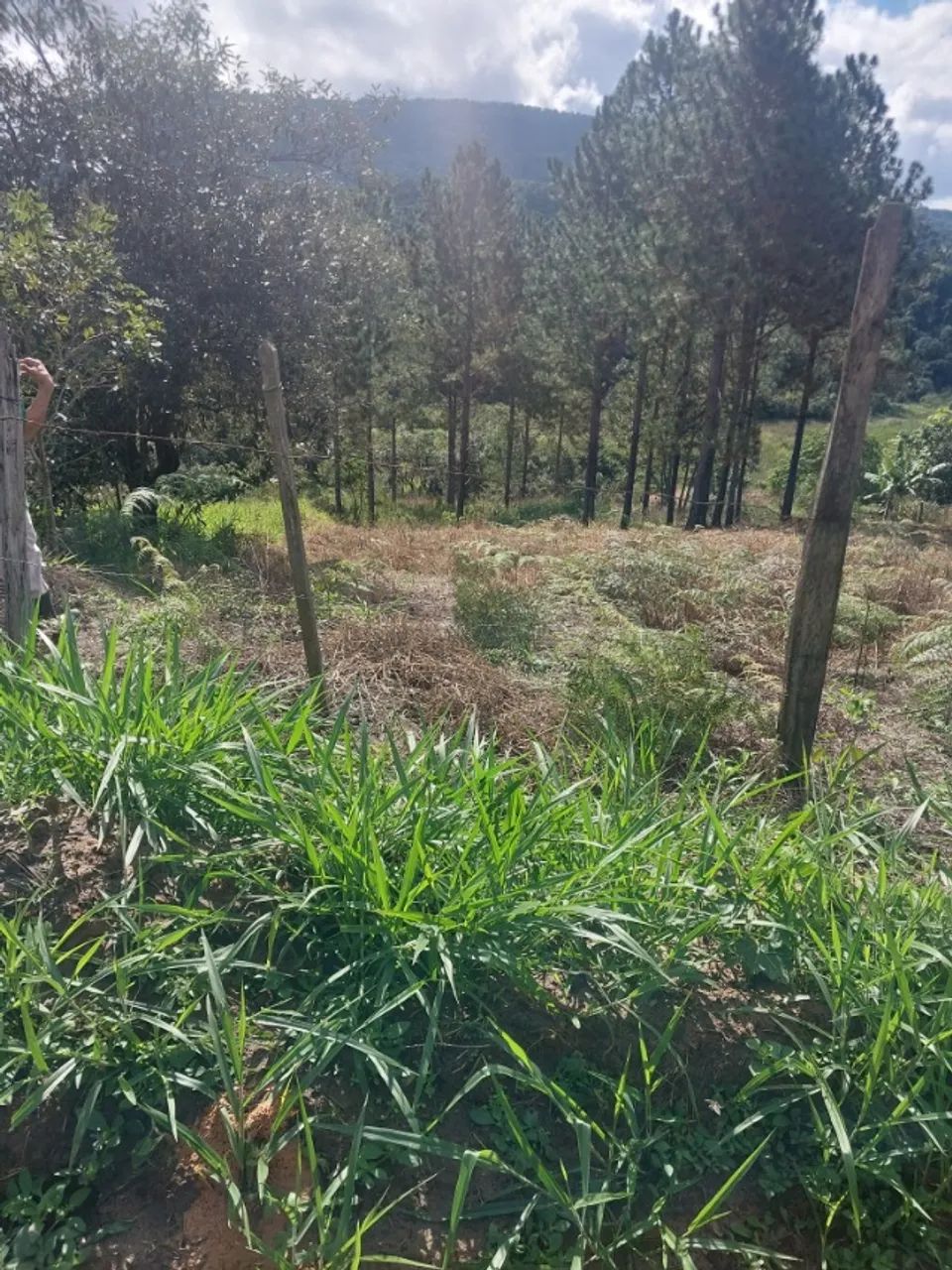 Otimo terreno de 4.500m2 em Bofete - Foto 5