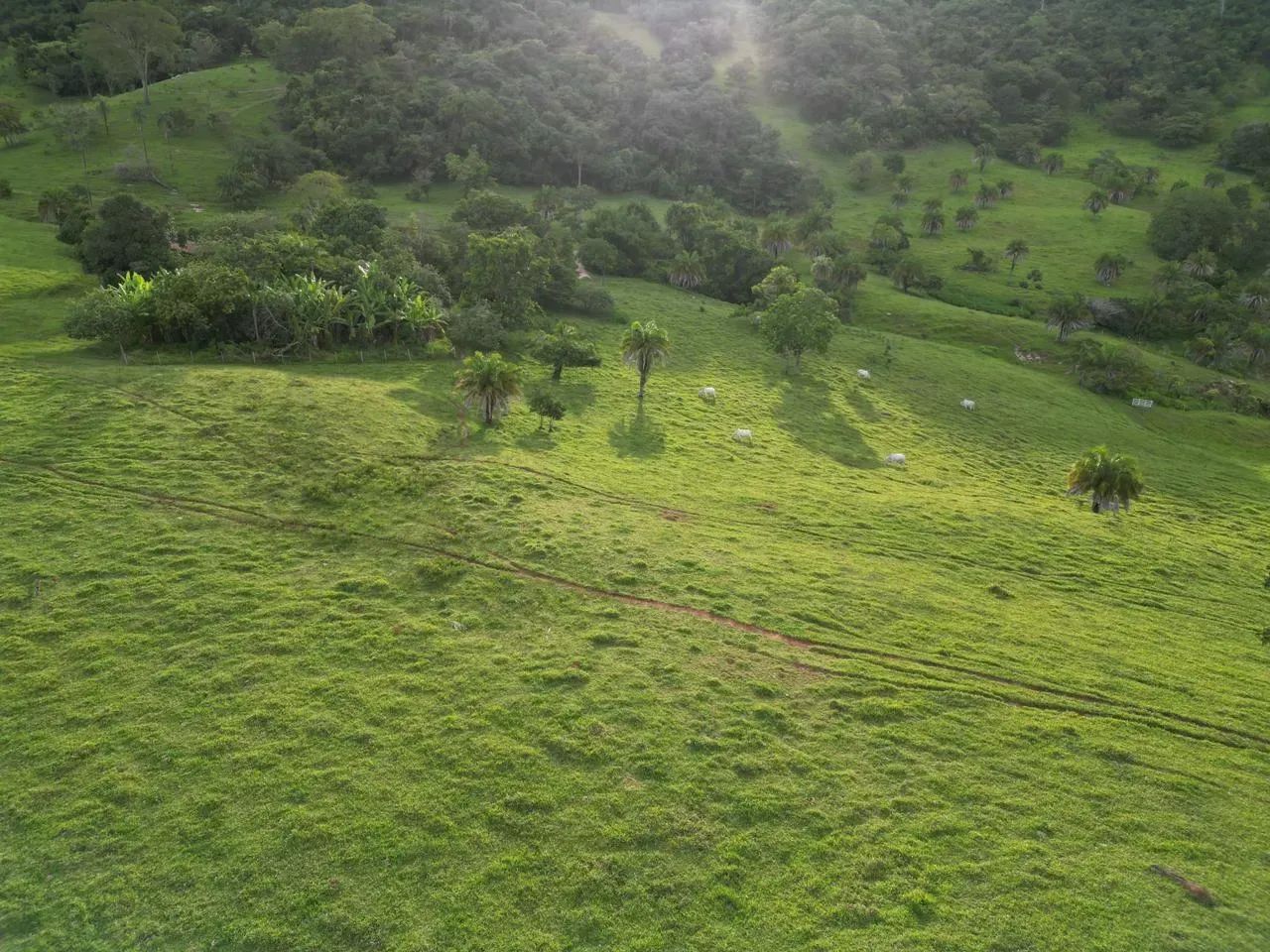 Fazenda Itapaci - Go - Foto 4