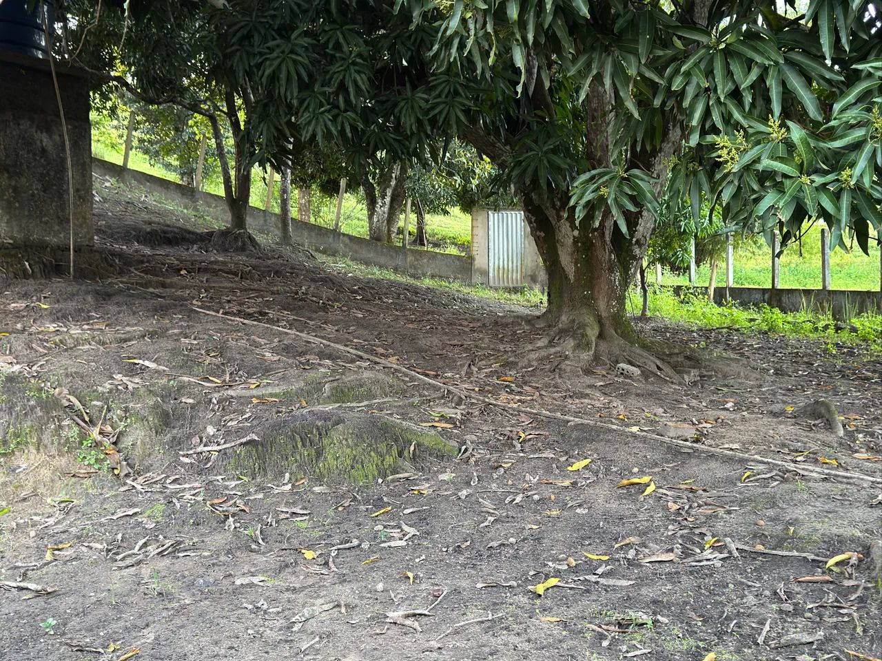 Sitio em São José da Laje - Foto 4