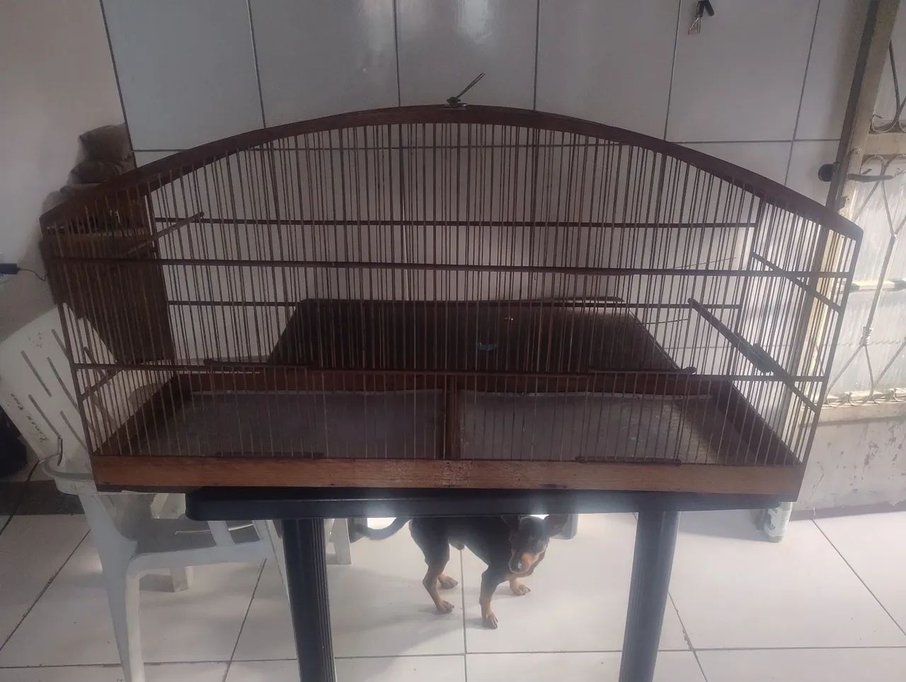 Voador para pássaros 