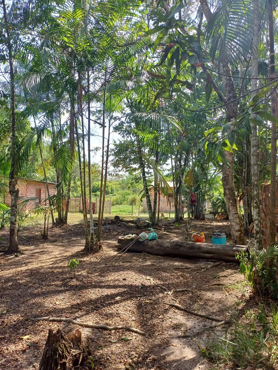 VENDO TERRENO NA ESTRADA DO MARATÁ  ( BENEVIDES)  - Foto 5