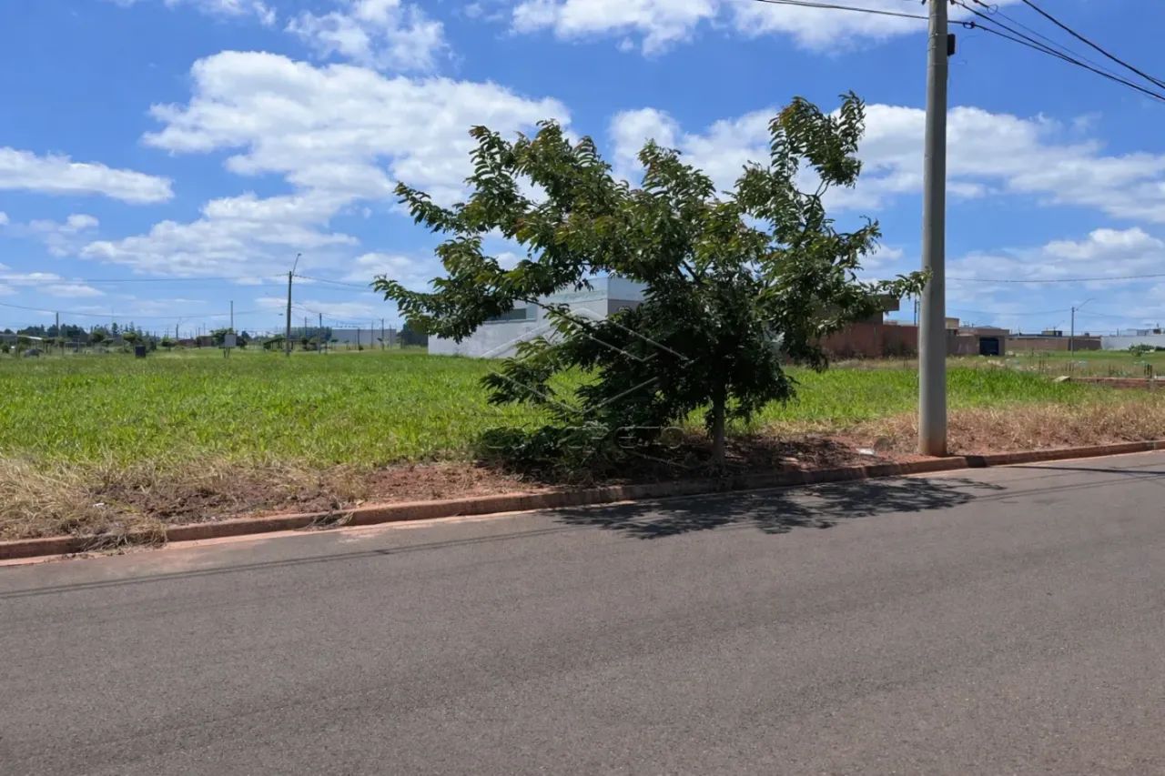 TERRENO RESIDENCIAL OU COMERCIAL - Foto 3