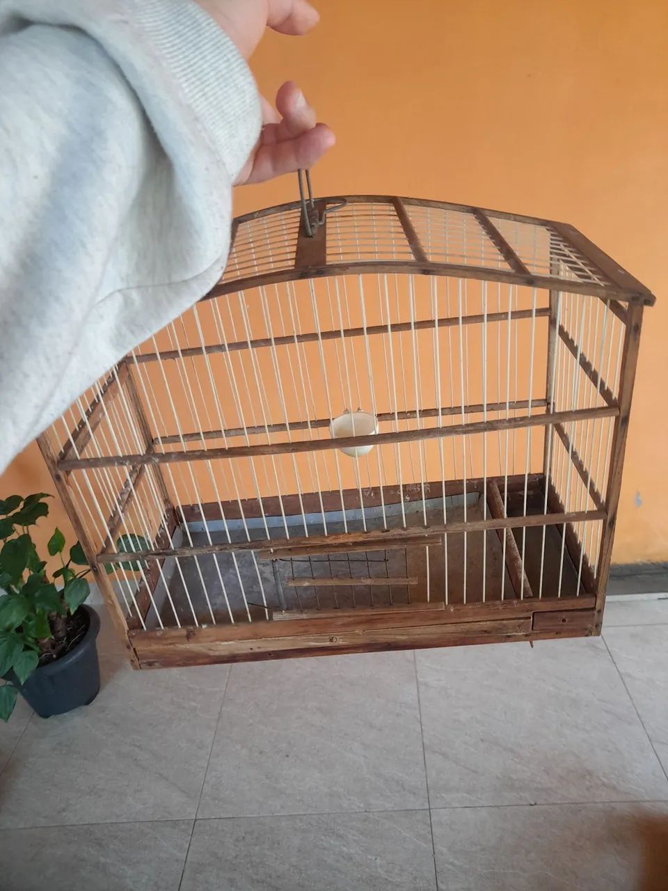 Gaiolas - Foto 2