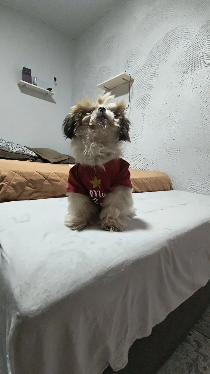 A procura de uma namorada 