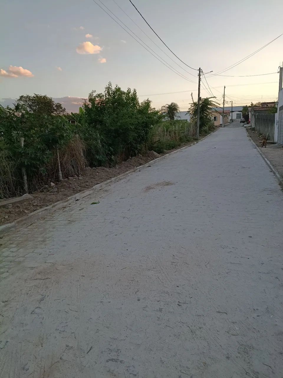 Terreno em Salgadalia  - Foto 3