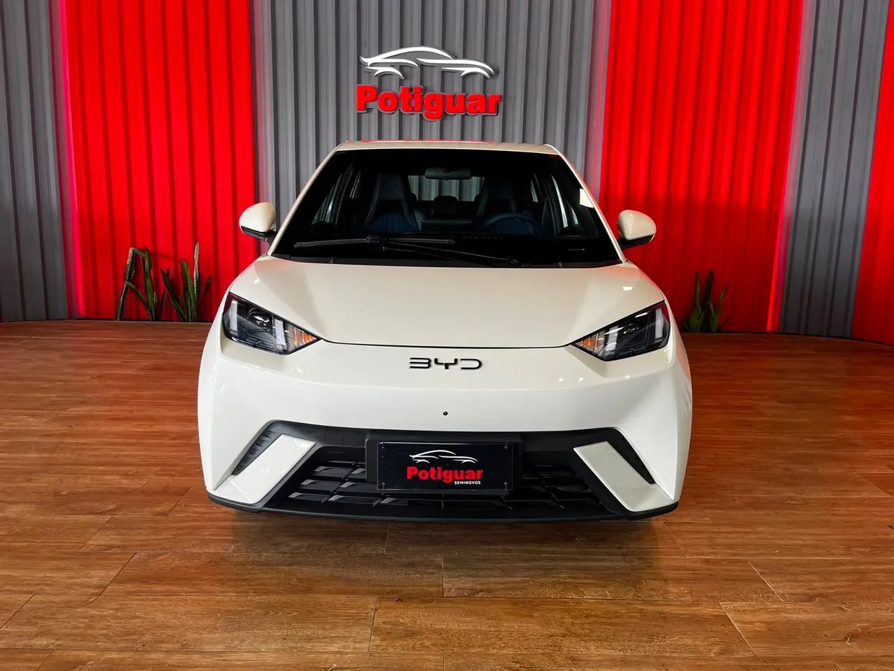 BYD Dolphin Mini (Elétrico) 2025