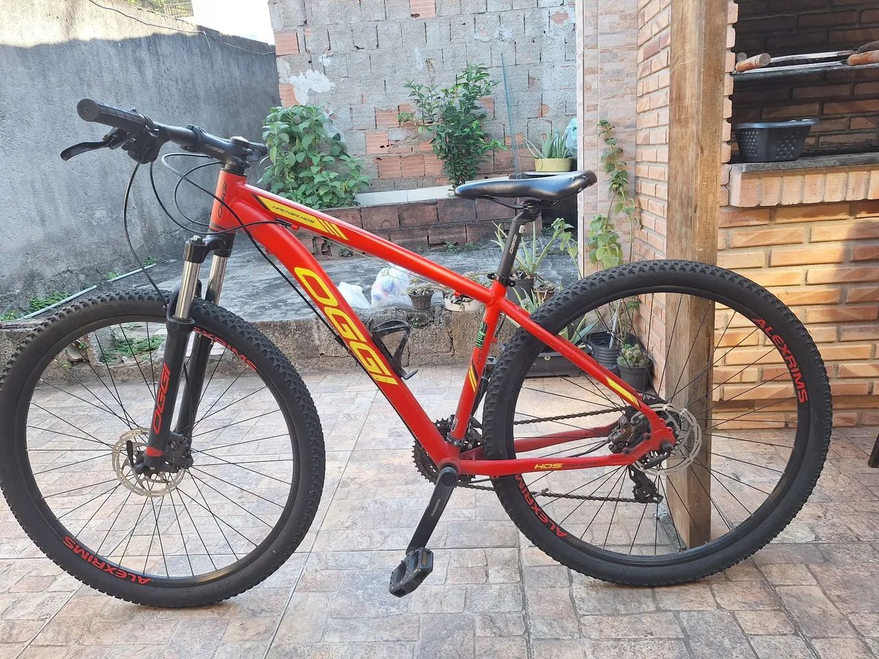 BICICLETA 
