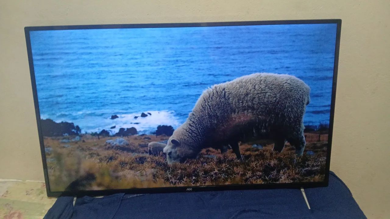 Vendo tv aoc 50 polegadas smart valor 450 pra vim buscar WhatsApp *87 - Foto 3