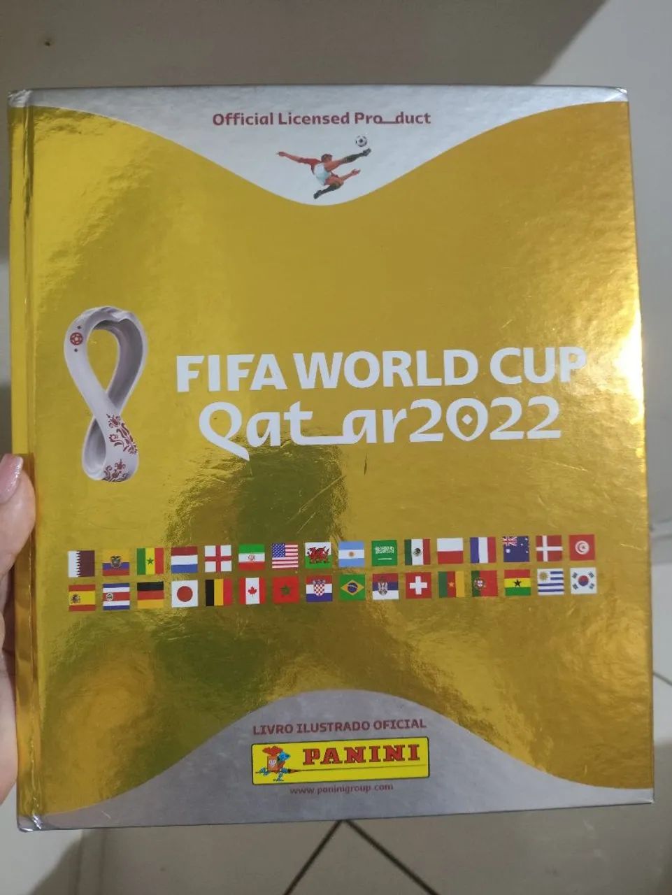 2 Álbuns da Copa do Mundo Panini 2022 e 2026 - Completos