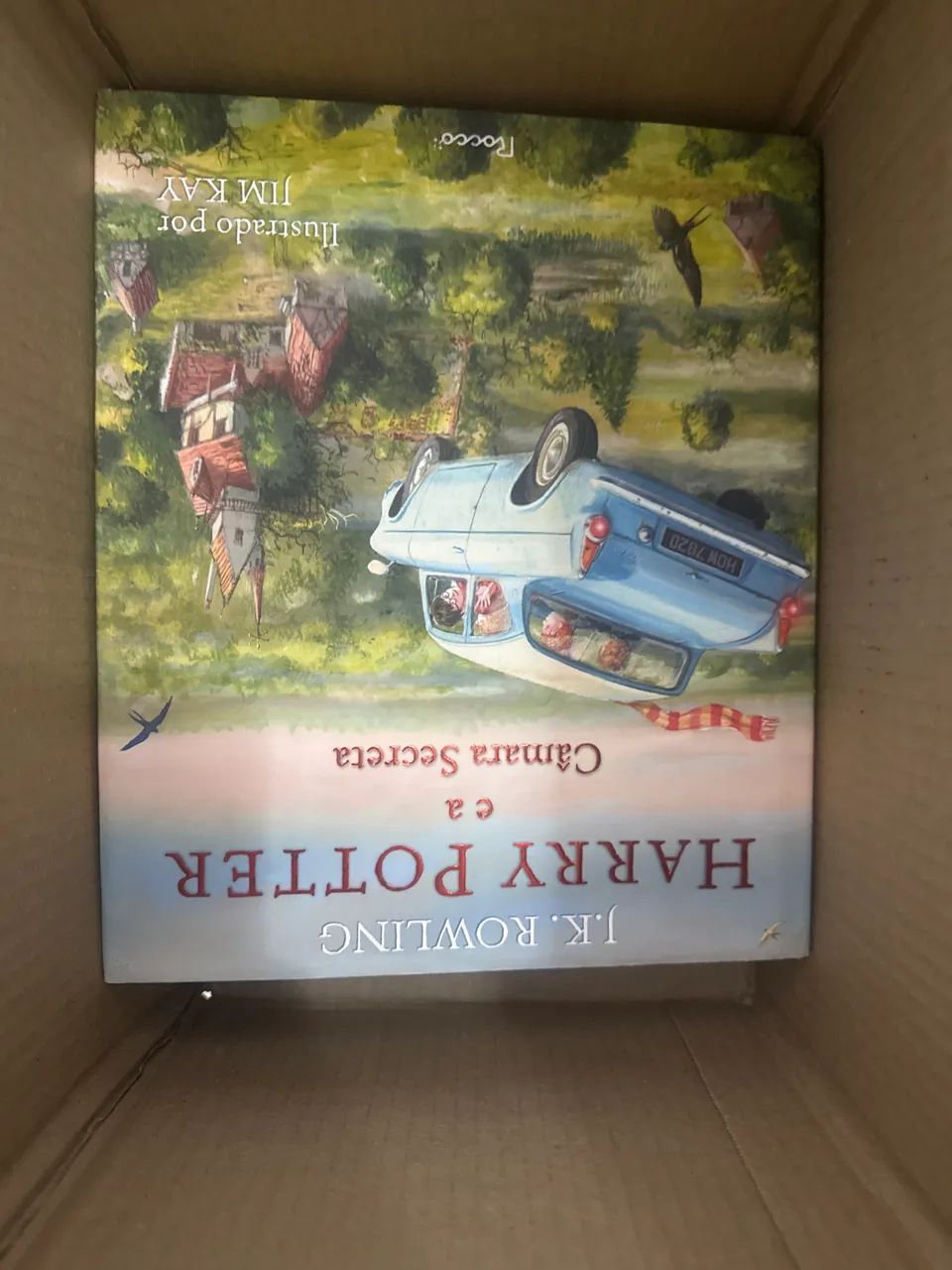 Livro harry potter e a câmera secreta 