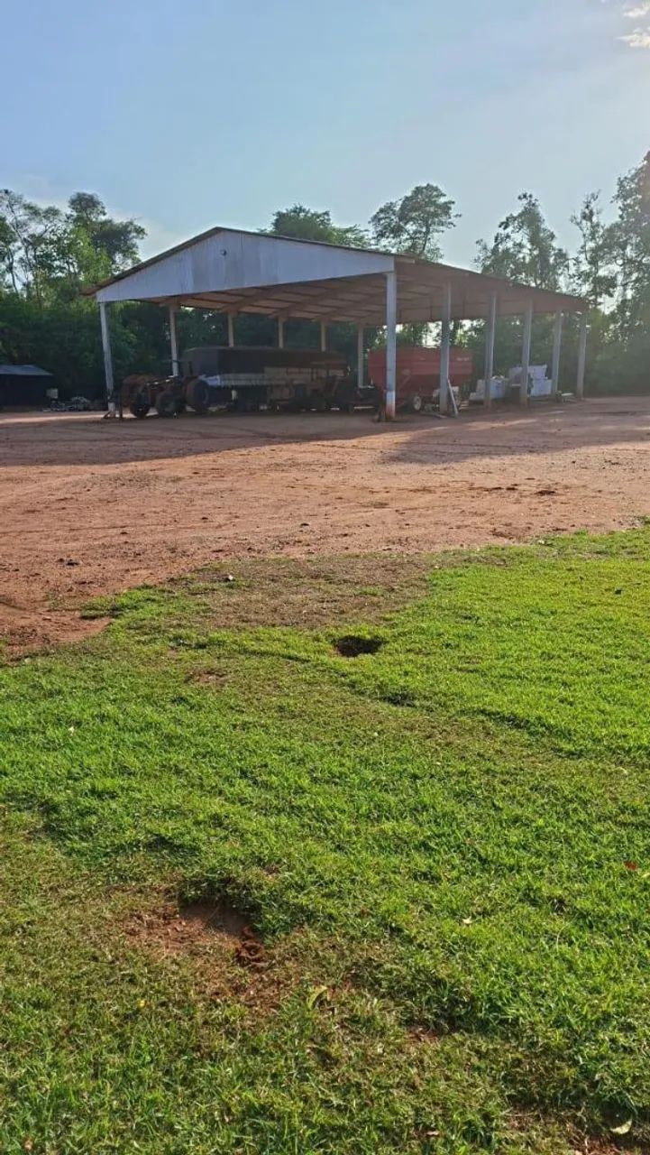 Fazenda de arrendamento 1.000 hec em nova Maringá MT.  - Foto 4