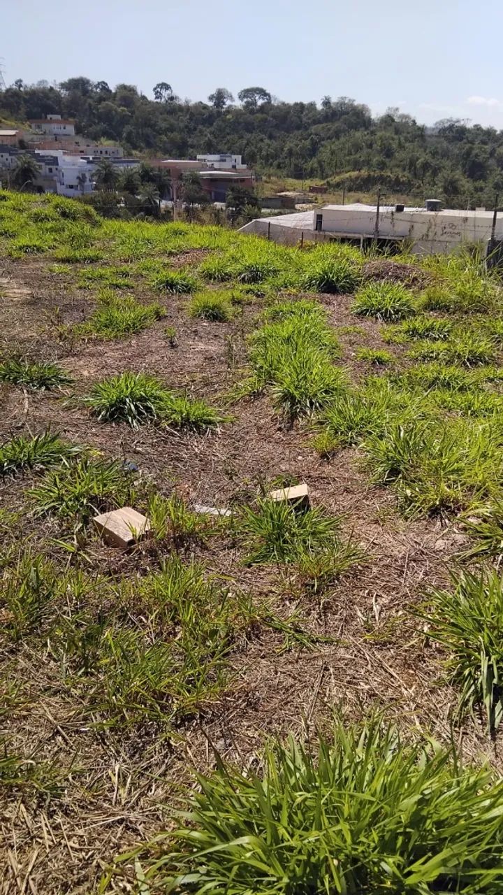 Lote de esquina  no Bairro Novo Centro. - Foto 2