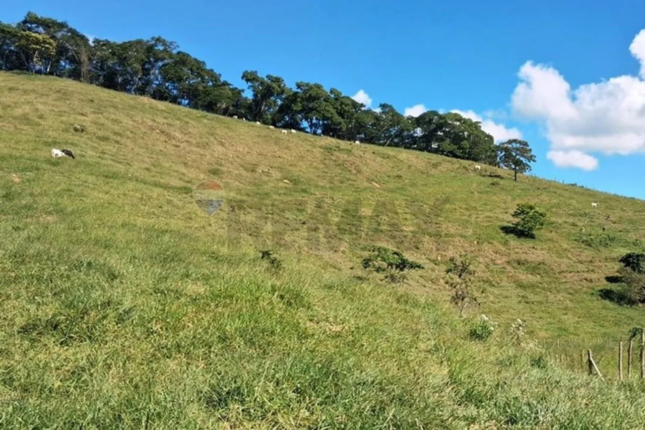 Fazenda com 131 Hectares - Foto 3
