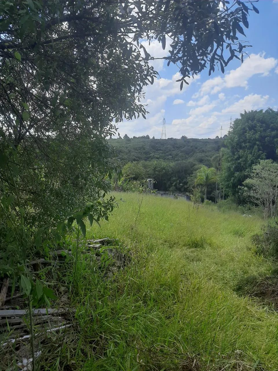 Foto - São Paulo - Campo Belo
