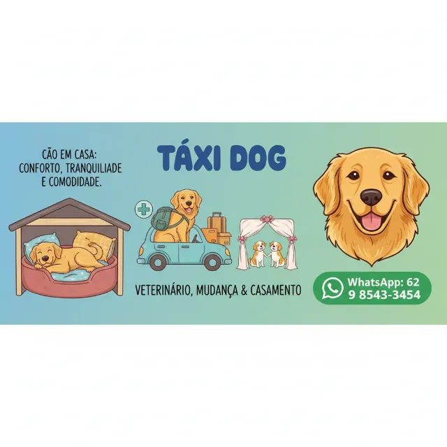 taxx dog