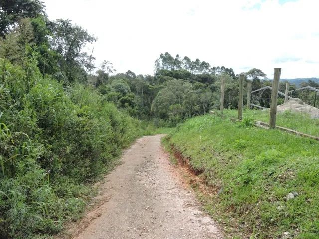 terreno 4.900m²  com barracão em Colombo     - Foto 3